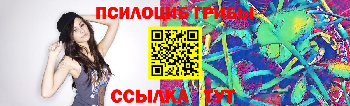 Златоуст  Псилоцибиновые грибы Psilocybine cubensis  Вход с VPN 